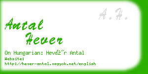 antal hever business card